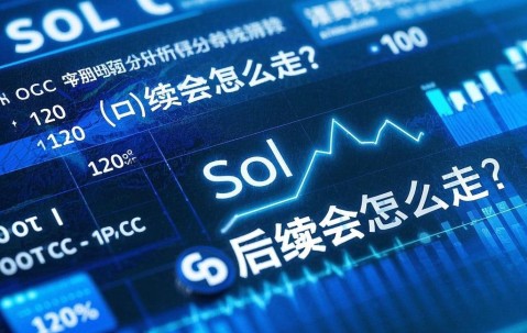 开云体育-专家称SOL将在年底冲破231美元，引发引发关注