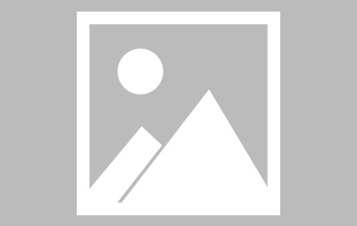 体育官方网站-马斯克再次发推，SHIB瞬间上走高14.21%